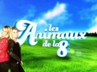 « Les animaux du grand 8 » : JAFAR du Royaume d’Exquise en direct sur D8