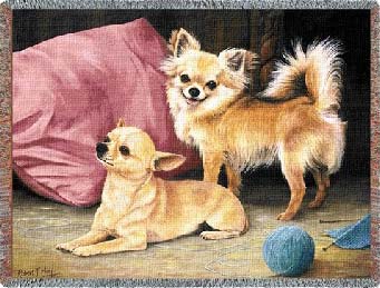 Cartello Segnaletico Per Chihuahua A Pelo Corto - 30x15 Cm, PVC Anti-UV Con Viti Inox - "Attenzione Cane"