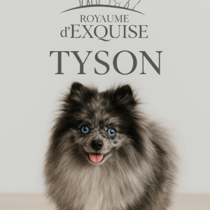 TYSON